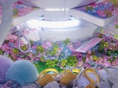 -嗨翻Hi-Fun竞技主题乐园·蹦床亲子生日轰趴(国光1937店)