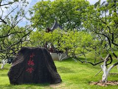 -东湖听涛景区