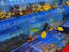 水产区-日照大牌檔•小船海鲜(万平口店)
