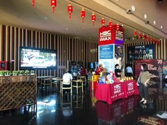 -华谊兄弟影院(IMAX洋桥店)