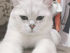 -贝利宠物医院·骨科·眼科·肿瘤转诊中心(南坪诊疗中心)
