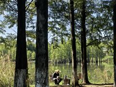 -白鹭湾湿地公园