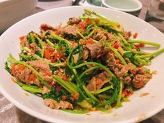 -壹盏灯(惠农店)