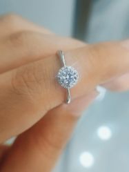 -钻石小鸟钻戒婚戒定制(石路店)