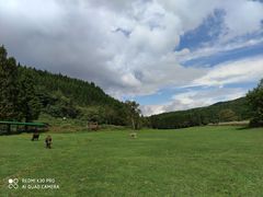 -武陵山森林公园