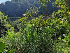 -火炉山森林公园