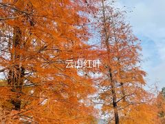 -广州市白云山风景名胜区