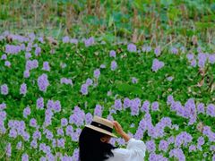 -白鹭湾湿地公园