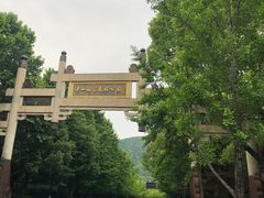 -杭州半山国家森林公园