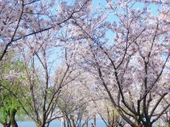 -幕燕滨江·燕子矶公园