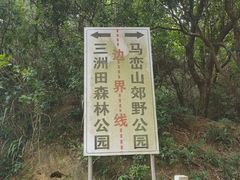 -马峦山郊野公园
