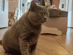 -Me Coffee下午茶艺术空间