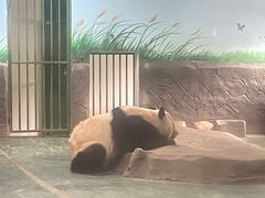 -安吉竹博园