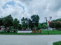 -阳台山森林公园