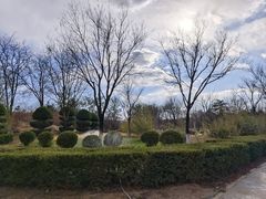 -燕郊植物园