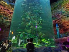 -青岛嘉年华主题乐园