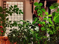 -志晖园(昆明老街店)