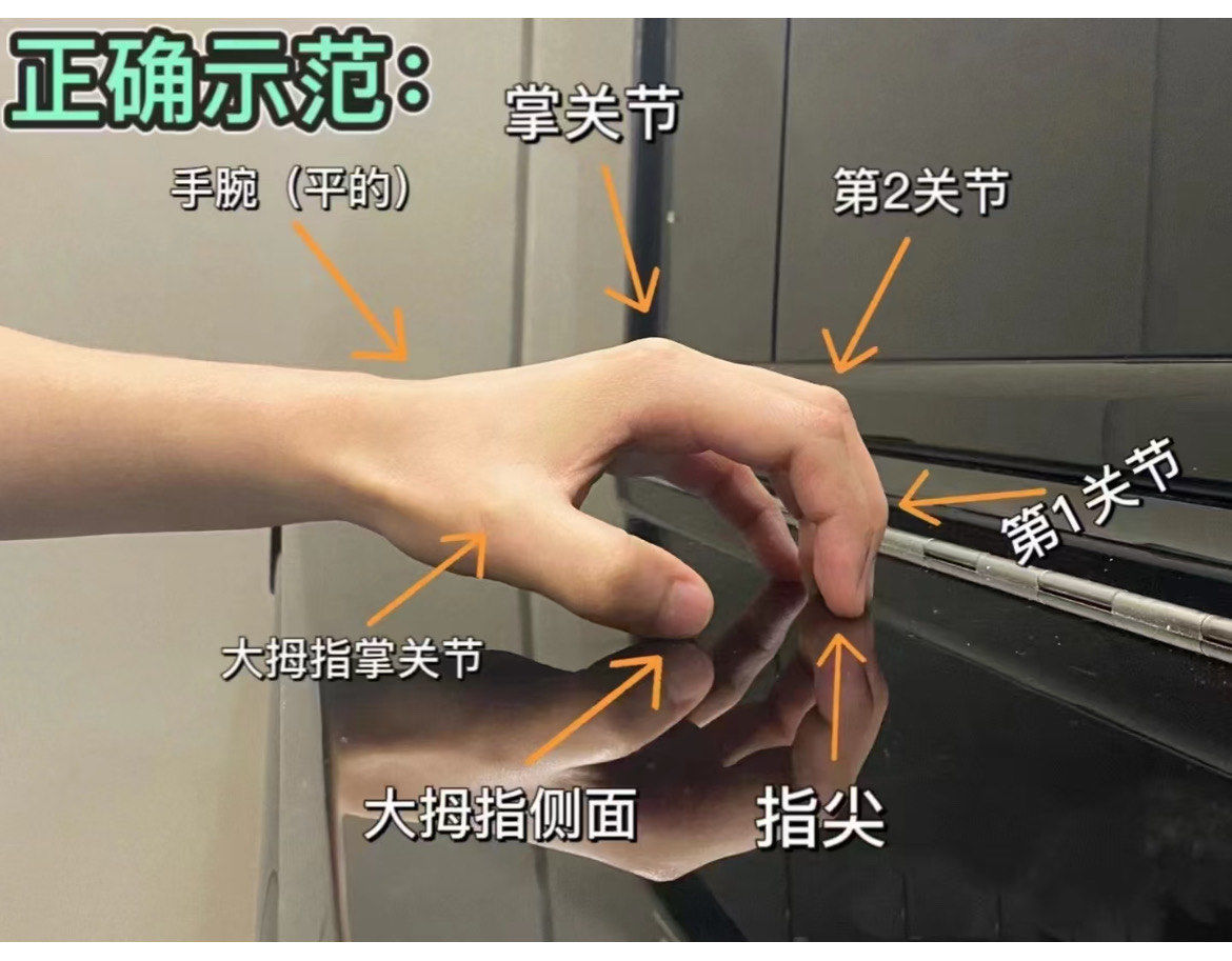钢琴正确手型
