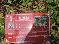 -广西壮族自治区药用植物园
