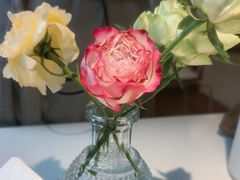 -俏贝拉(裕后街店)