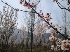 -石砭峪水库