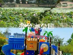 -白塘生态植物园