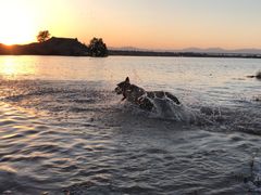 -永定河休闲森林公园