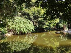 -成都市活水公园