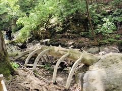 -香炉山国家森林公园