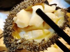 -鲜入围煮花胶鸡海鲜火锅