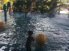 -亚马逊丛林水乐园