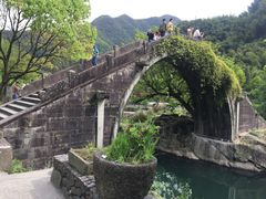 -鹿亭中村