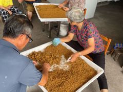 -苏州市吴中区光福窑上花果蜜饯厂