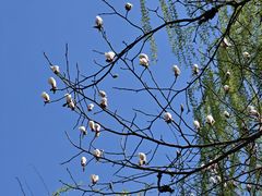 -西安汉城湖景区