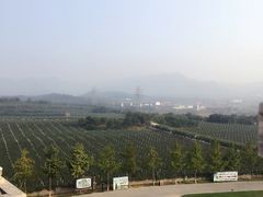 -北京张裕爱斐堡酒庄