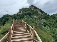 -大岭沟猕猴桃谷风景区