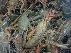-辣得叫湘菜(观海卫店)