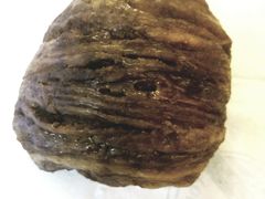 -大懒龙(马甸店)