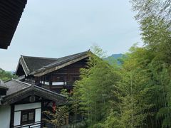-大唐贡茶院
