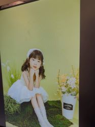 -挚纯baby儿童摄影(庐阳区店)