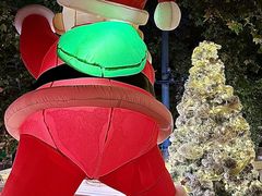 -弦月窗LUNETTE BY AMANDA(复兴路店)