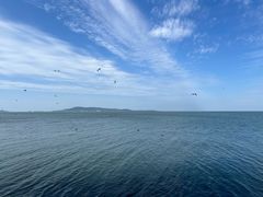 -悦海公园