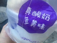 -一只酸奶牛(奎星楼店)