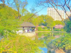 -红梅公园