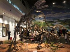 -自贡恐龙博物馆
