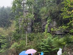 -梭布垭石林景区