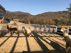 -南京汤山紫清湖生态旅游温泉度假区