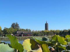 -西海子公园
