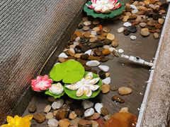 -渔米粥(罗湖店)