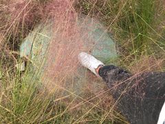 -昆山城市生态森林公园